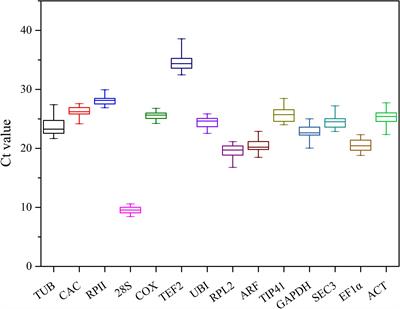 Identification of Ginger (Zingiber officinale Roscoe) Reference Genes for Gene Expression Analysis